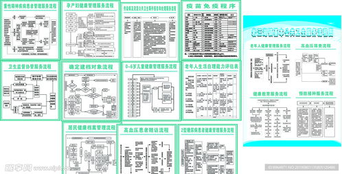 公共衛生服務流程圖的優化設計與信息系統集成服務融合路徑探析